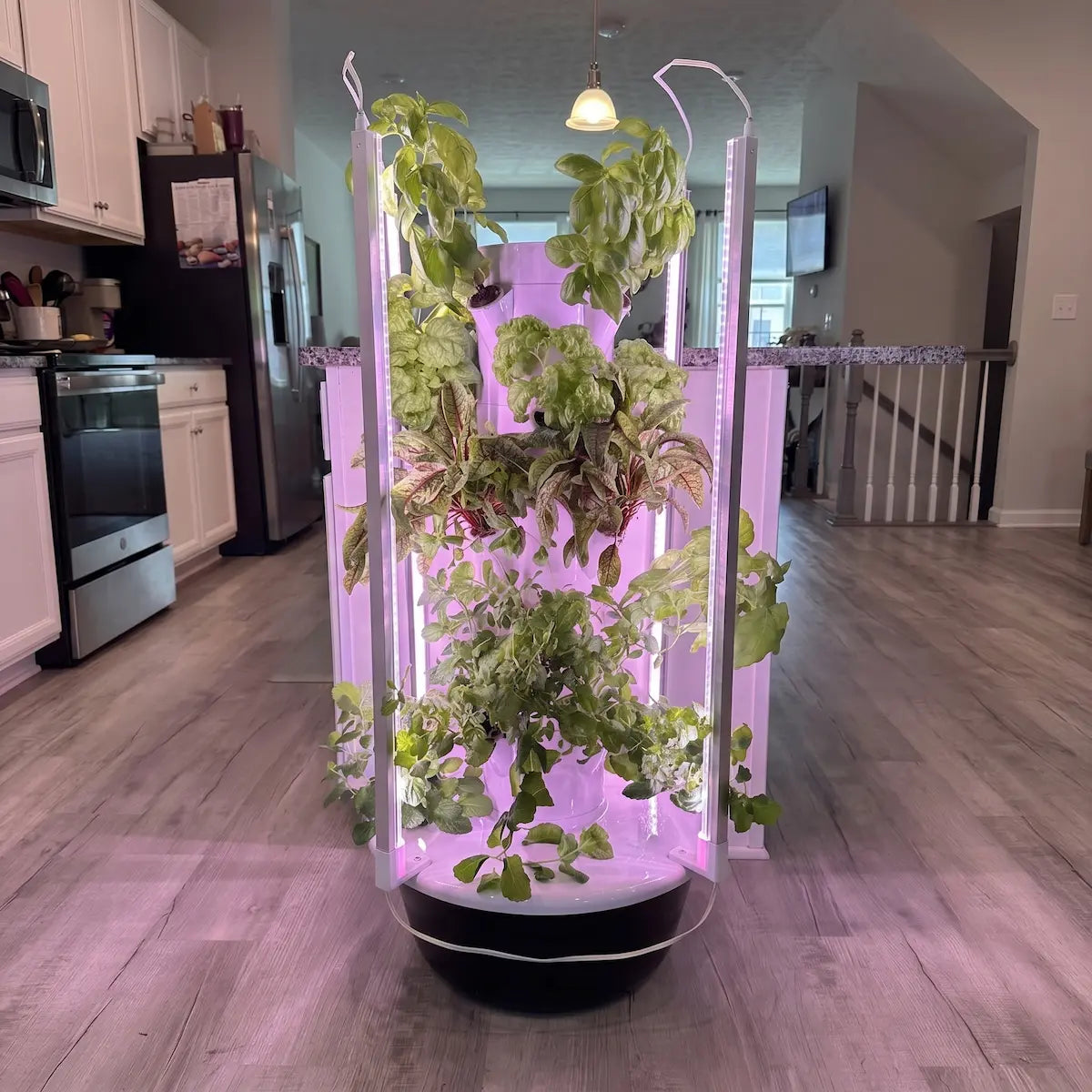 Greenly Grove Tower Garden - 5 Layer