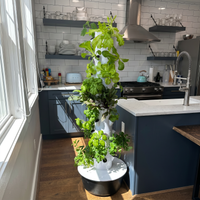 Greenly Grove Tall Grow System (9 Layer)