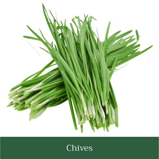 Chives Seed Pack